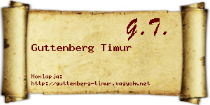 Guttenberg Timur névjegykártya